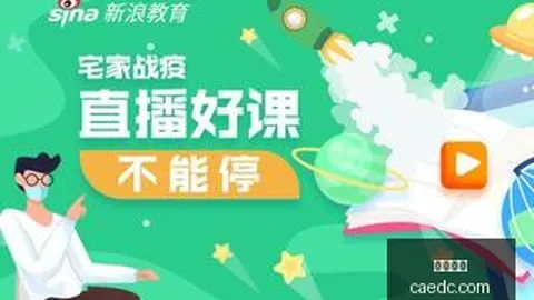 智利甲焦点战：天主大学对阵希金斯，谁将笑到最后